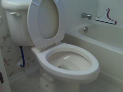 Toilet Installation and Repair in North Port